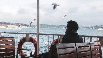 118图库-资料中心-分段占比-入口页